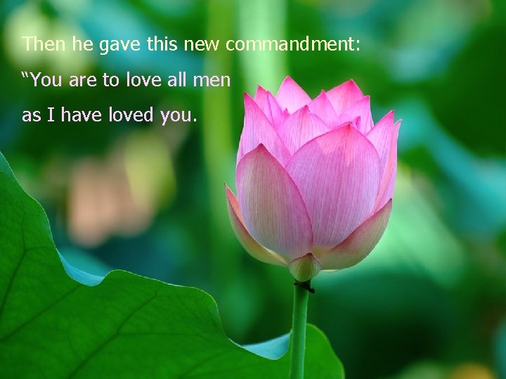 Then he gave this new commandment: “You are to love all men as I