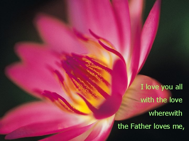 I love you all with the love wherewith the Father loves me, 