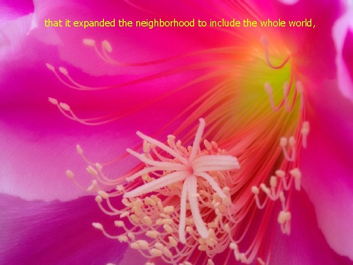 that it expanded the neighborhood to include the whole world, 