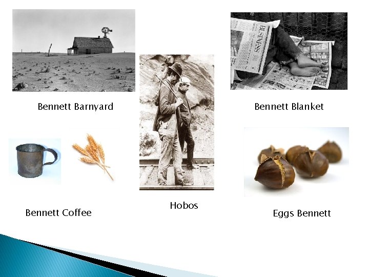 Bennett Blanket Bennett Barnyard Bennett Coffee Hobos Eggs Bennett 