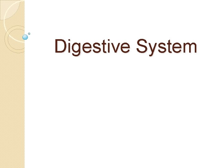 Digestive System 