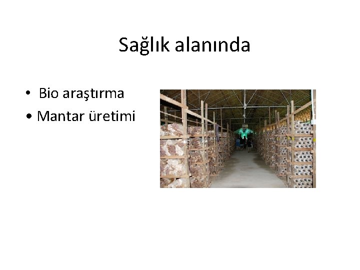 Sağlık alanında • Bio araştırma • Mantar üretimi Sağlık alanında • Bio araştırma • Mantar üretimi