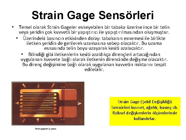 Strain Gage Sensörleri • Temel olarak Strain Gageler esneyebilen bir tabaka üzerine ince bir Strain Gage Sensörleri • Temel olarak Strain Gageler esneyebilen bir tabaka üzerine ince bir