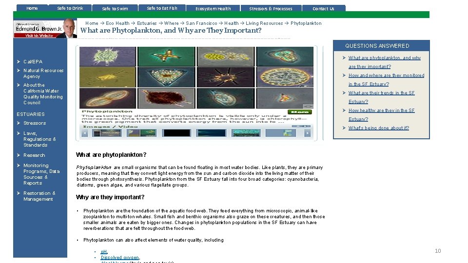 Home Safe to Drink Safe to Swim Safe to Eat Fish Ecosystem Health Stressors