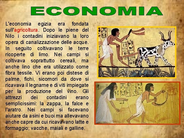 L'economia egizia era fondata sull'agricoltura. Dopo le piene del Nilo i contadini iniziavano la