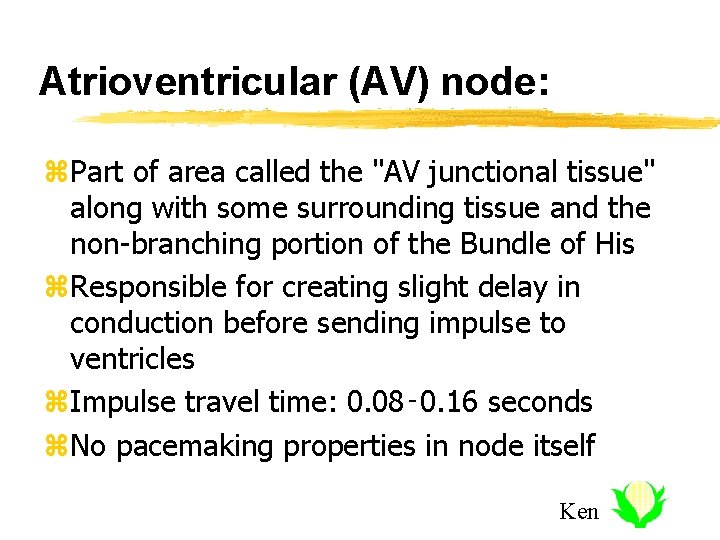 Atrioventricular (AV) node: z. Part of area called the "AV junctional tissue" along with