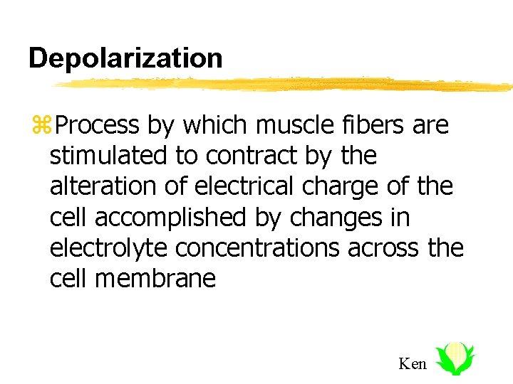 Depolarization z. Process by which muscle fibers are stimulated to contract by the alteration