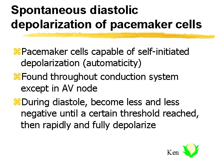 Spontaneous diastolic depolarization of pacemaker cells z. Pacemaker cells capable of self-initiated depolarization (automaticity)