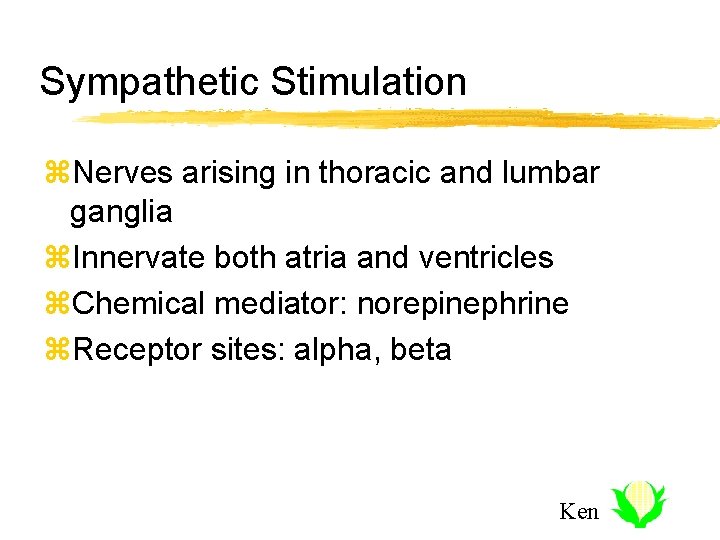 Sympathetic Stimulation z. Nerves arising in thoracic and lumbar ganglia z. Innervate both atria