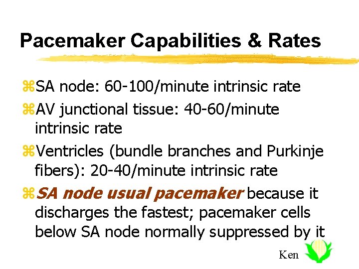 Pacemaker Capabilities & Rates z. SA node: 60 -100/minute intrinsic rate z. AV junctional