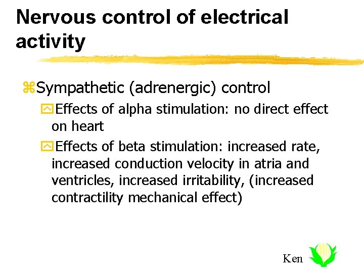 Nervous control of electrical activity z. Sympathetic (adrenergic) control y. Effects of alpha stimulation: