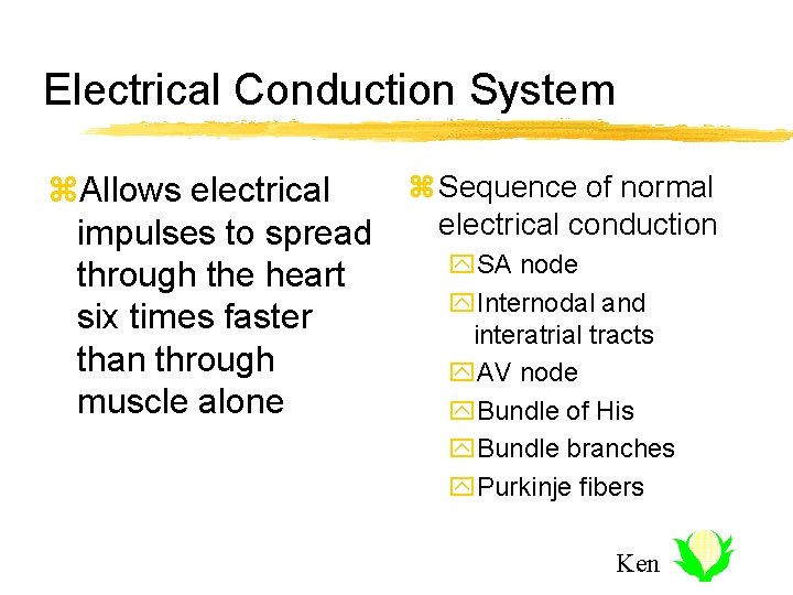 Electrical Conduction System z. Allows electrical impulses to spread through the heart six times