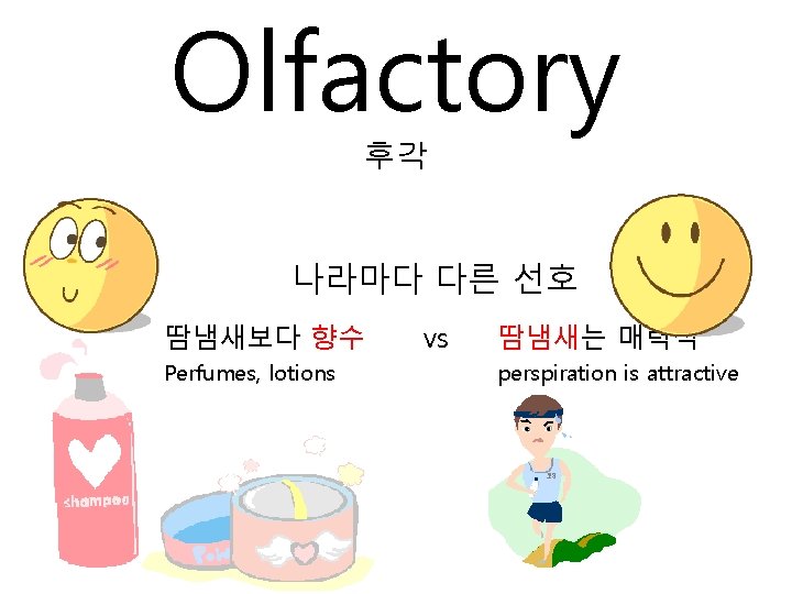 Olfactory 후각 나라마다 다른 선호 땀냄새보다 향수 Perfumes, lotions vs 땀냄새는 매력적 perspiration is