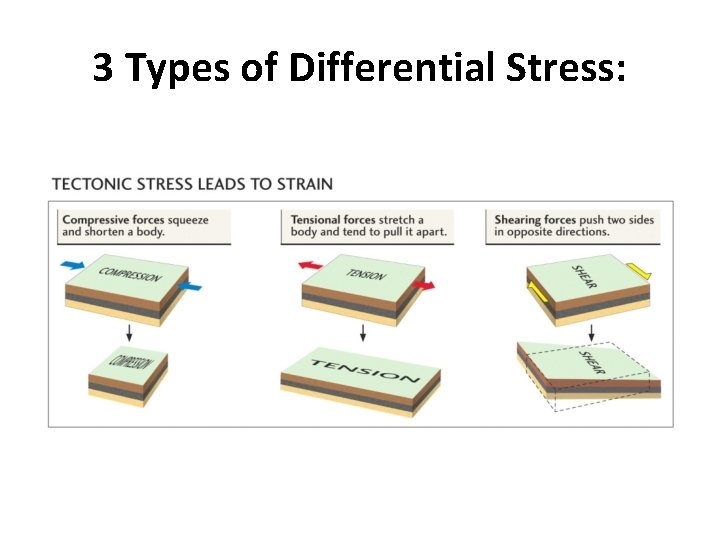 3 Types of Differential Stress: 