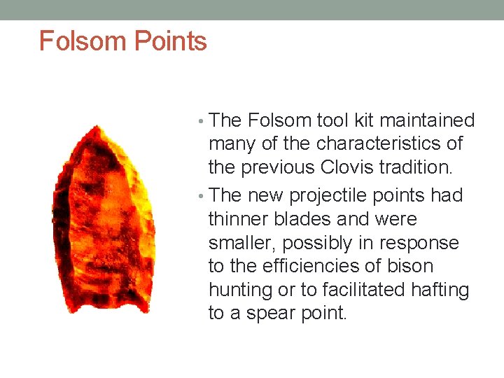Folsom Points • The Folsom tool kit maintained many of the characteristics of the