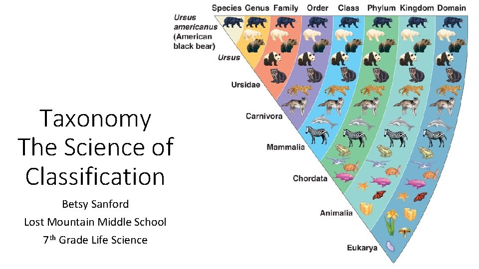 Taxonomy The Science of Classification Betsy Sanford Lost Mountain Middle School 7 th Grade