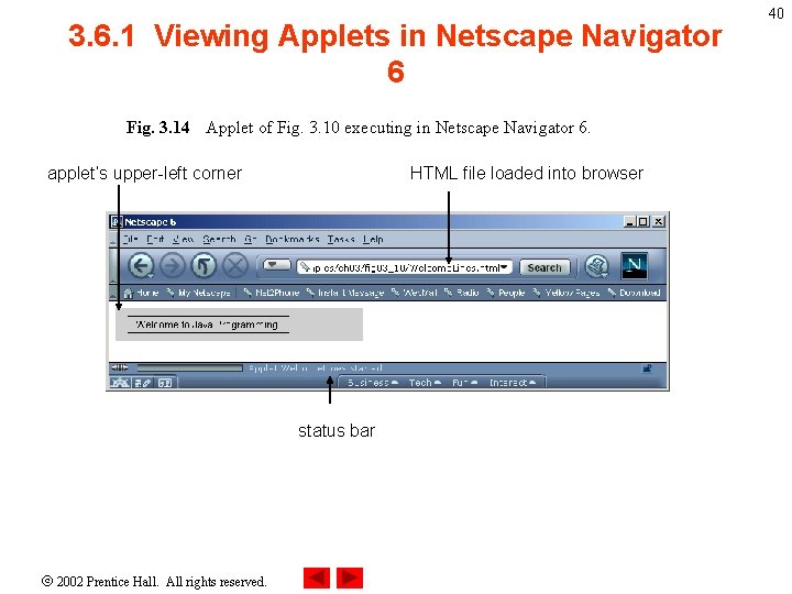3. 6. 1 Viewing Applets in Netscape Navigator 6 Fig. 3. 14 Applet of