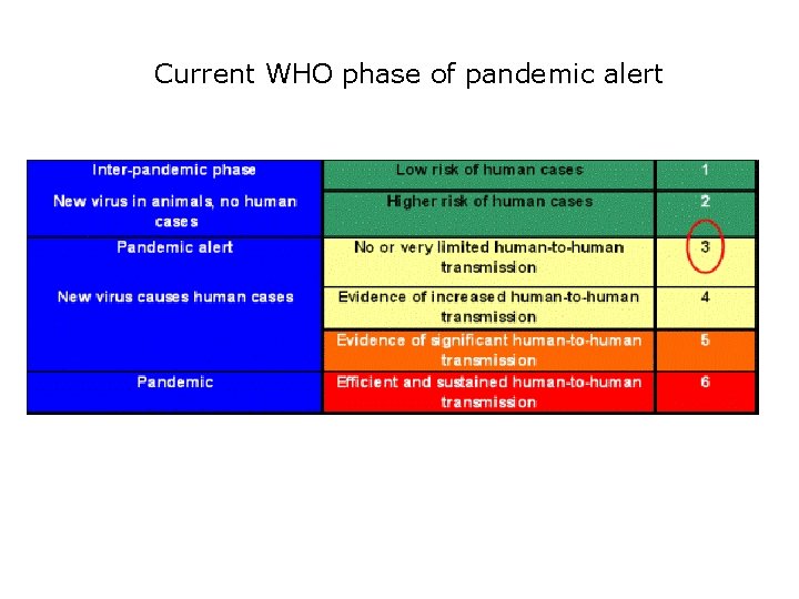 Current WHO phase of pandemic alert 