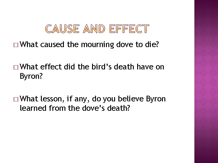 � What caused the mourning dove to die? � What effect did the bird’s