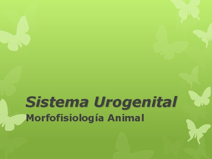 Sistema Urogenital Morfofisiología Animal 