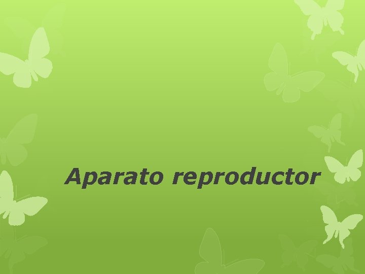 Aparato reproductor 