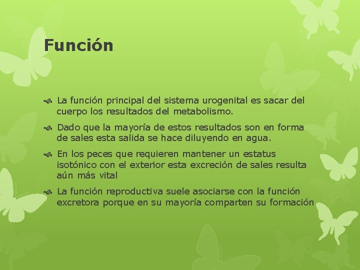 Función La función principal del sistema urogenital es sacar del cuerpo los resultados del