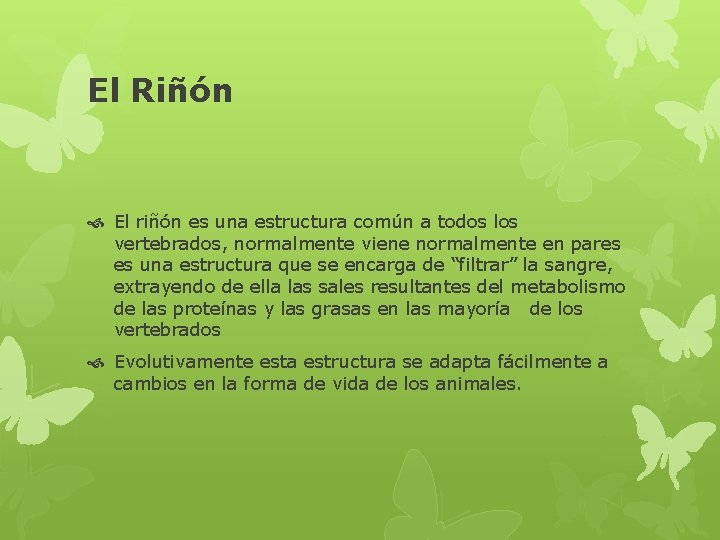 El Riñón El riñón es una estructura común a todos los vertebrados, normalmente viene