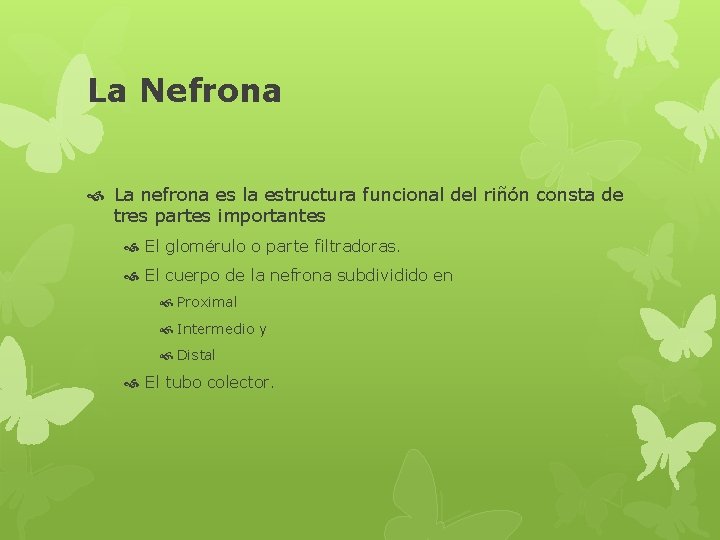 La Nefrona La nefrona es la estructura funcional del riñón consta de tres partes