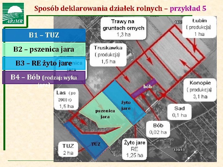 Sposób. Agencja Restrukturyzacji i Modernizacji Rolnictwa deklarowania działek rolnych – przykład 5 B 1