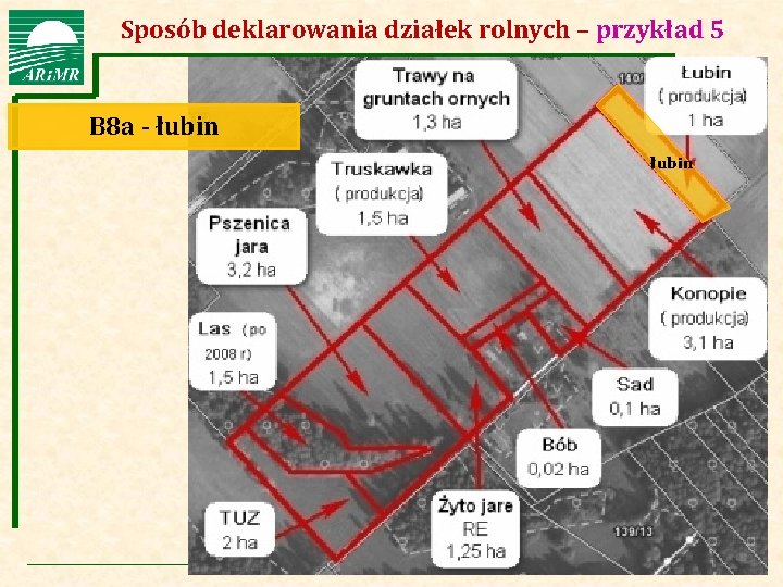 Sposób. Agencja Restrukturyzacji i Modernizacji Rolnictwa deklarowania działek rolnych – przykład 5 B 8