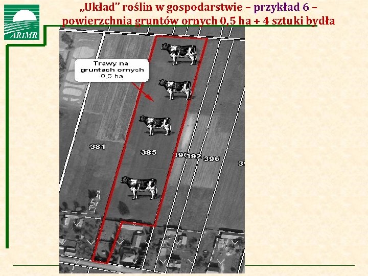 „Układ” roślin w gospodarstwie – przykład 6 – Agencja Restrukturyzacji i Modernizacji Rolnictwa powierzchnia