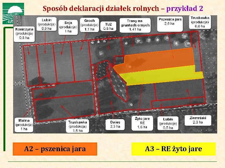 Agencja Restrukturyzacji i Modernizacji Rolnictwa Sposób deklaracji działek rolnych – przykład 2 A 2