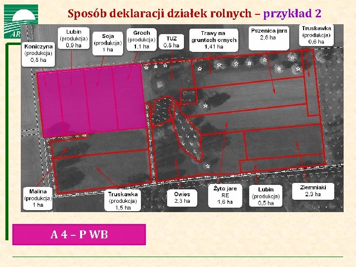 Agencja Restrukturyzacji i Modernizacji Rolnictwa Sposób deklaracji działek rolnych – przykład 2 A 4