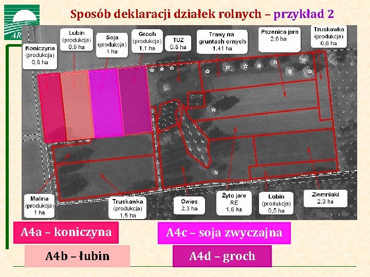 Agencja Restrukturyzacji i Modernizacji Rolnictwa Sposób deklaracji działek rolnych – przykład 2 A 4