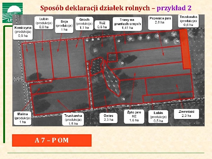 Agencja Restrukturyzacji i Modernizacji Rolnictwa Sposób deklaracji działek rolnych – przykład 2 A 7