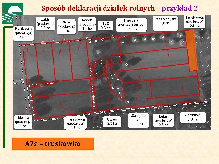 Agencja Restrukturyzacji i Modernizacji Rolnictwa Sposób deklaracji działek rolnych – przykład 2 A 7