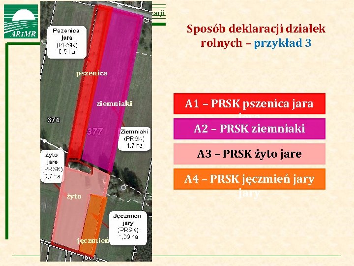 Agencja Restrukturyzacji i Modernizacji Rolnictwa Sposób deklaracji działek rolnych – przykład 3 pszenica ziemniaki