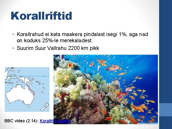 Korallriftid • Korallrahud ei kata maakera pindalast isegi 1%, aga nad on koduks 25%-le