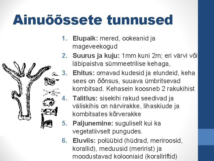 Ainuõõssete tunnused 1. Elupaik: mered, ookeanid ja mageveekogud 2. Suurus ja kuju: 1 mm