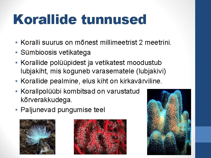 Korallide tunnused • Koralli suurus on mõnest millimeetrist 2 meetrini. • Sümbioosis vetikatega •