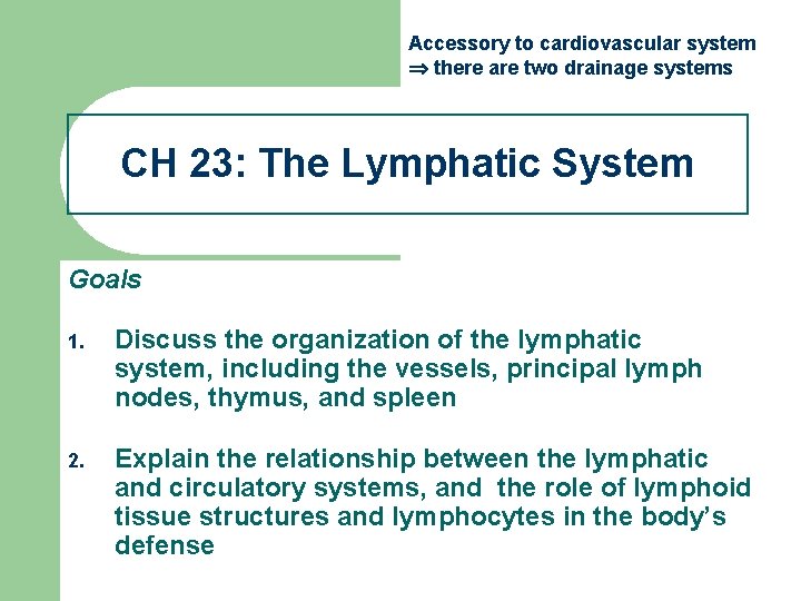 Accessory to cardiovascular system there are two drainage systems CH 23: The Lymphatic System