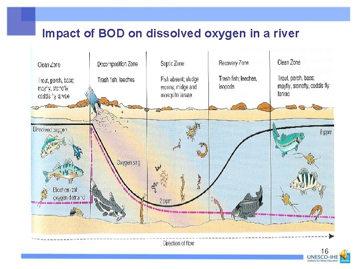 Impact of BOD on dissolved oxygen in a river 16 