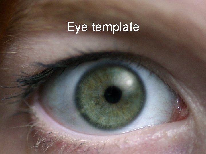 Eye template 