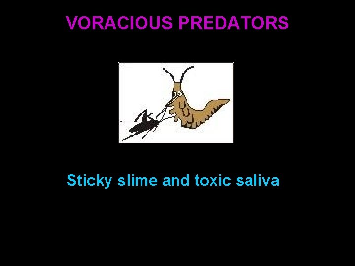 VORACIOUS PREDATORS Sticky slime and toxic saliva VORACIOUS PREDATORS Sticky slime and toxic saliva