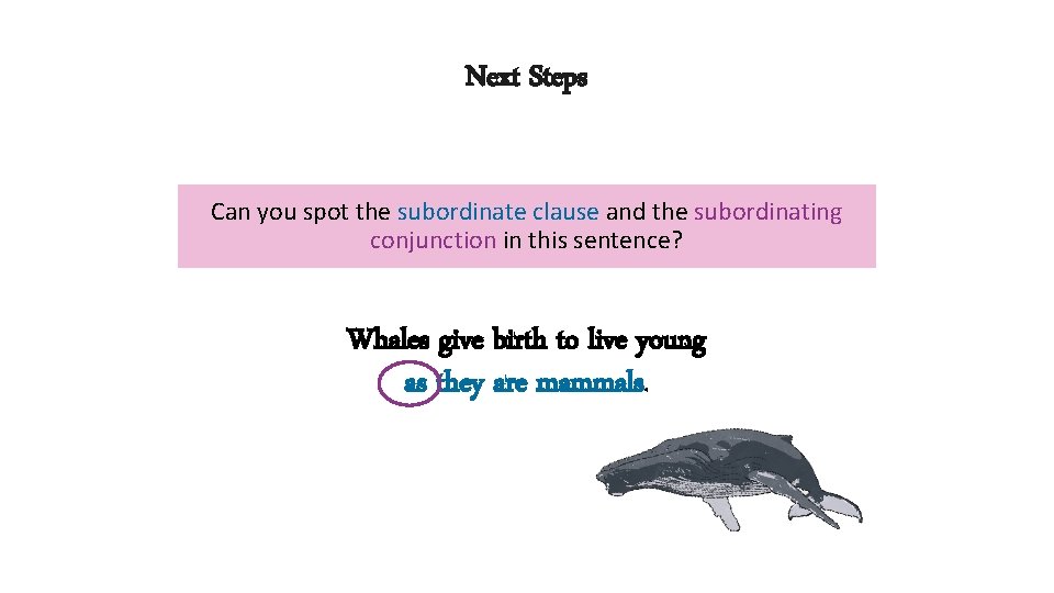 Next Steps Can you spot the subordinate clause and the subordinating conjunction in this