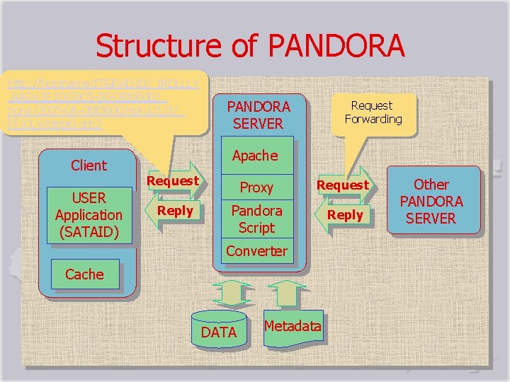 Structure of PANDORA http: //hostname/ITGRAD 10/_IRDLLLY. AASV. IE 10/2005 -06 -08 t 0600/　 none/2005