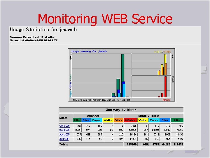 Monitoring WEB Service 