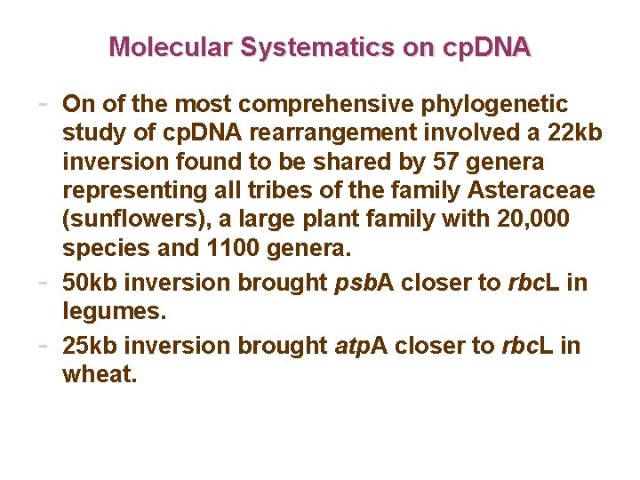 Molecular Systematics on cp. DNA - On of the most comprehensive phylogenetic - study