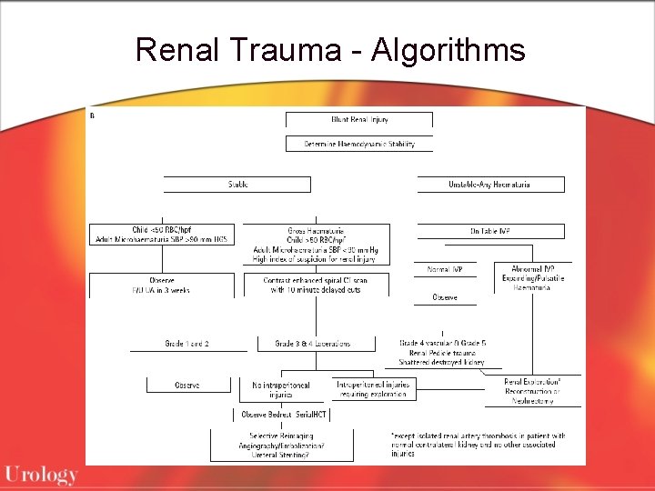 Renal Trauma - Algorithms 