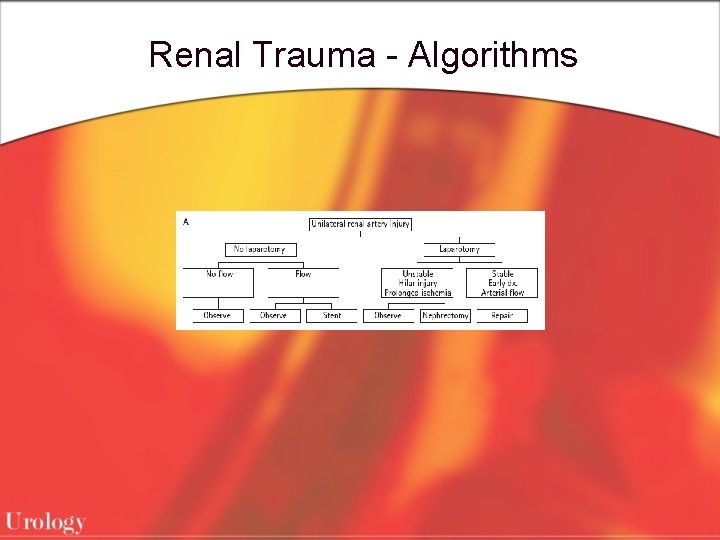 Renal Trauma - Algorithms 